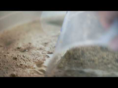 Craft Beer Gemmingen 2017