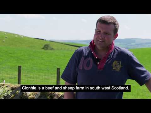 Nithsdale Monitor Farm Strengthens Business Through Programme