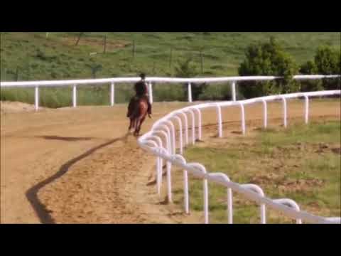 ARDAVLI  GALOPPO A MOCIANO (SI)  CON GIOVANNI PUDDU 22 MAGGIO 2020