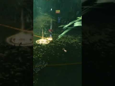 Never charge the wood elves - Total war