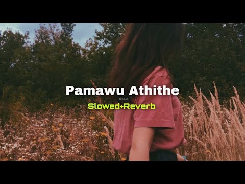 Pamawu Athithe (පමා වූ අතීතේ) (Slowed+Reverb) | SlowMo_LK