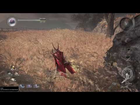 Nioh - Of Withered Grass and Yokai (Sub Mission)