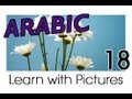 Learn Arabic - Arabic Plants Vocabulary