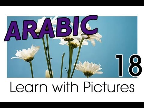 Learn Arabic Arabic Vegetable Vocabulary
