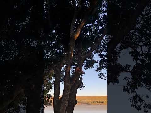 Manhã no mar de MG- Carmo do Rio Claro.#mardeminas #chácara #ranchi #rancho#pescaria