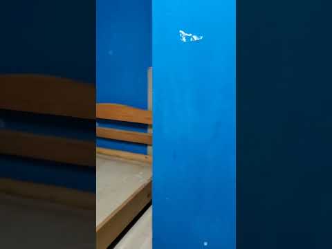 屏山 Youtube Video