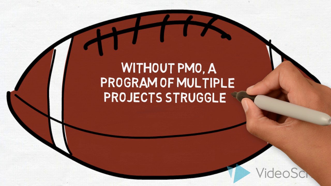 PMO Playbook