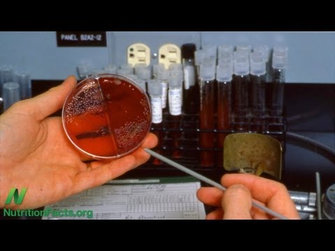 癌細胞體外增殖生物測定 (Ex Vivo Cancer Proliferation Bioassay)