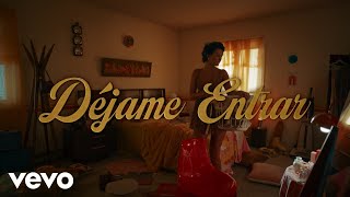 Rauw Alejandro - Déjame Entrar (Lyric Video)