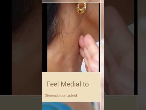 palpating carotid! #shorts #dpacademy #viral #medical #shortsvideo #dentistry #youtubeshorts