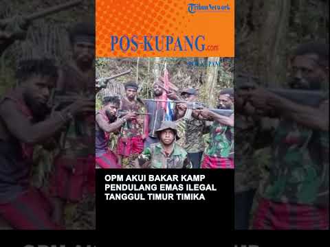 OPM Akui Bakar Kamp Pendulang Emas Ilegal Tanggul Timur Timika