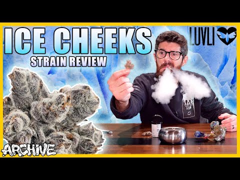 Ice Cheeks Strain Review