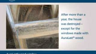 JELD-WEN AuraLast Wood