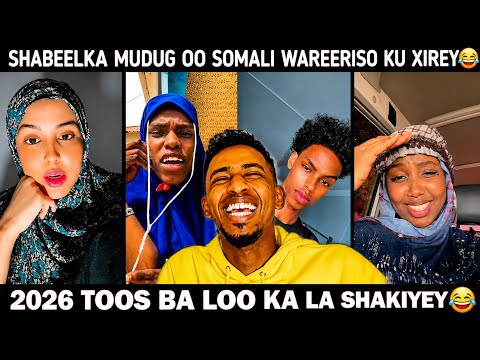 SHABEELKA MUDUG ILAA CHATGPT WA LA WEYDIYEY😂 SOMALIDI TOOS BA WAREERISO LOOGU XIREY WLHI AR SEE CML😂
