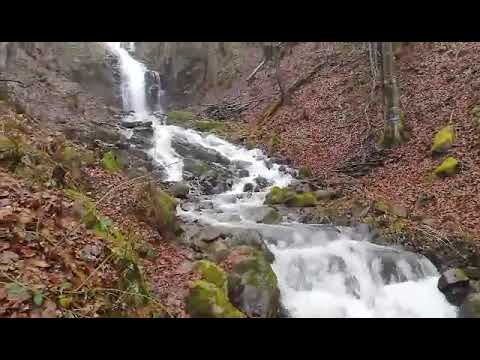 Cascada Saritoarea, minunea naturala din judetul Hunedoara