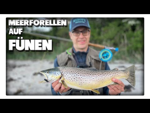 Sturm, Frust & Meerforellen – Unser härtester Trip nach Fünen!