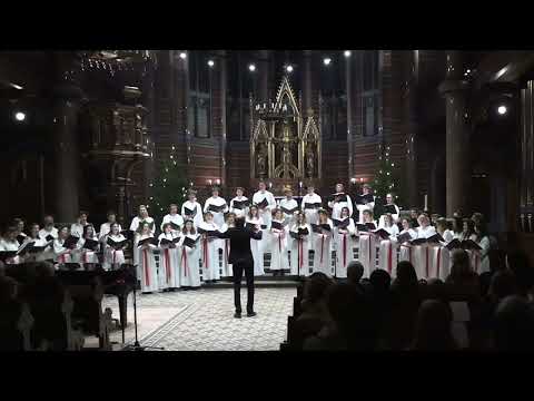 15 Koppången LTH-kören - julkonsert 2022 Allhelgonakyrkan