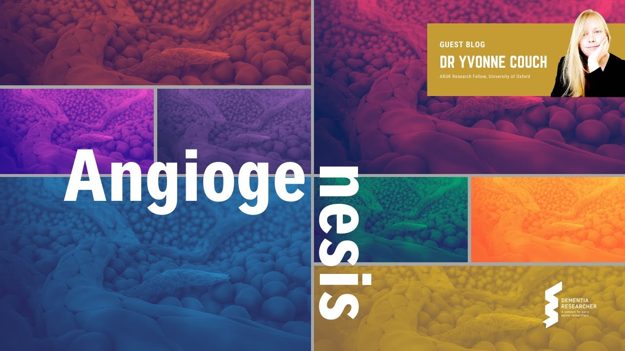 Dr Yvonne Couch - Angiogenesis