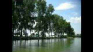 Summertime On The Lake