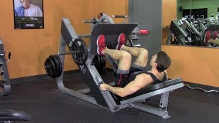 Beginner Weight Training in the Gym - HASfit Beginner Strength Training Easy Workout Exercises