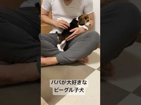 ビーグル 2について詳しく解説