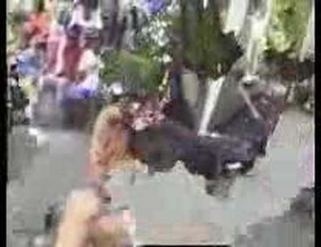 Quinto elemento video
