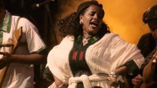 Dub Colossus - Azmari Dub (manic static)