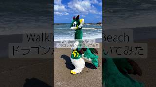 A Fursuit Dragon Walks Along the Beach! ドラゴンの着ぐるみがビーチを歩いてみた【Kemono Fursuit/ケモノ着ぐるみ】
