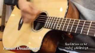 Video thumbnail for [기타인]   Breedlove Pursuit Dreadnought Guitar Sound by Guitar Rest