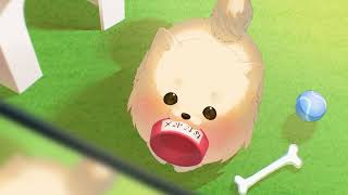 - なだめるポメラニアン のライブ配信