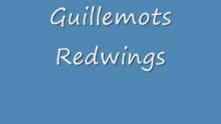 Redwings Music Video