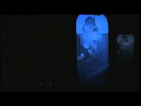 Entre Vues 2008 - Cie Ah Mon Amour "Amour et Grivoiseries" (4)