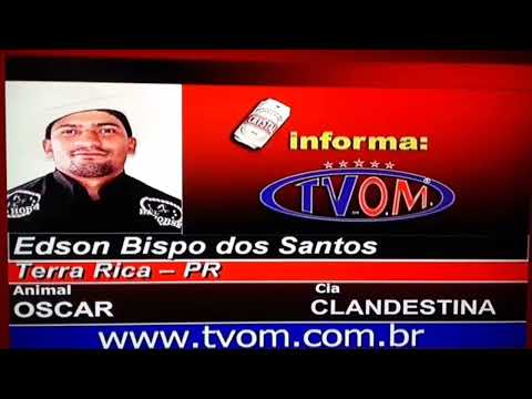 Rodeio de Nóva Granada SP 2007, melhóres montarias sabado e semi final