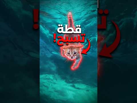ليه القطط تكره الموية وهي سباحة ممتازة؟
