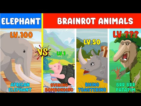Zoochosis Gorilla vs Tung Tung Tung Sahur | Elephant vs Brainrot Level Challenge | Animal Animation