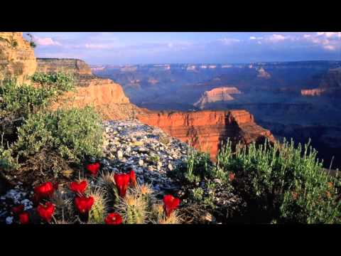 Franco Cesarini: Arizona