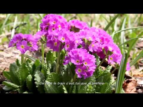 Dans le meme wagon :Marjorie Noel / そよ風にのって