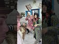 SA FI CUMINTE MAMAIE CAT PLECAM