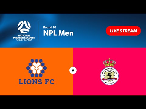 NPL Men Round 16 - Lions FC vs. St George Willawong