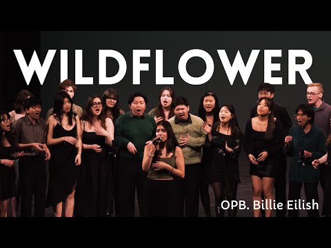 The Undeclared Majors - WILDFLOWER (Billie Eilish)