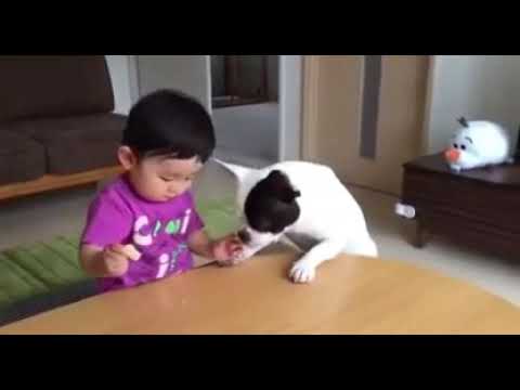 Funny Cat and boy