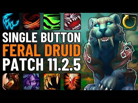 One Button Feral Druid Guide | Single-Button DPS in WoW Patch 11.2.5