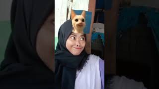 Download lagu Jedag Jedug CapCut || TikTok Viral [ Meme Cat Test ] mp3