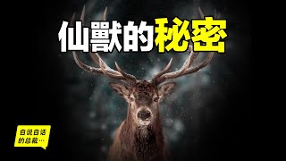 [問卦] 鹿草可以免費餵鹿嗎