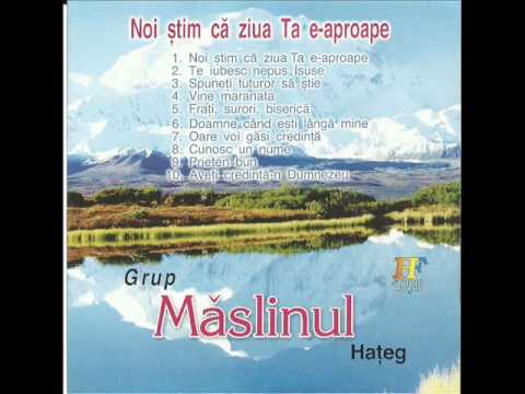 Maslinul Hateg - Vine maranata