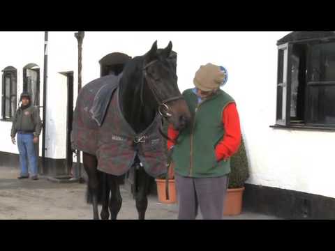 Nicky Henderson - William Hill Winter Festival