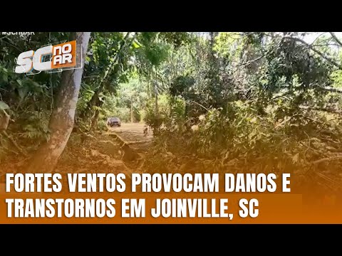 Ventos fortes em Joinville causam prejuízos e transtornos
