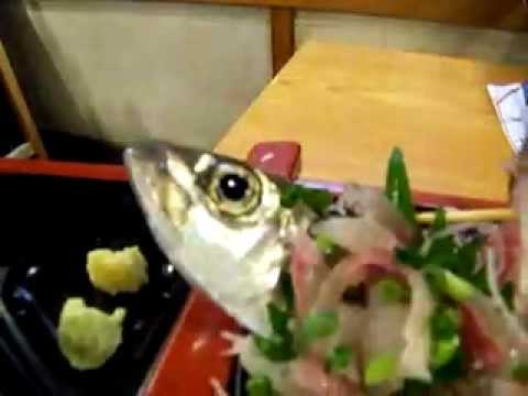 Ikizukuri - není nad čerstvou rybu!