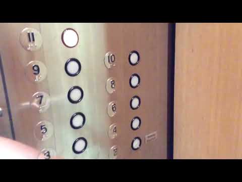 EPIC low rise Dover traction elevators 1-12 at 1000 Southfield town center in Southfield Michigan.