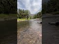 One Day Trip From Coimbatore Best Places In Coimbatore Shorts Coimbatore Travel